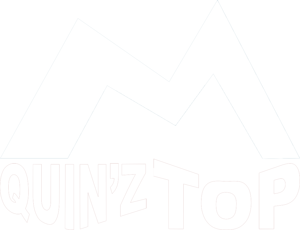 logo quin'z-top-bianco