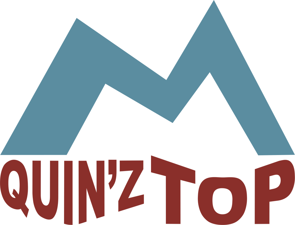 logo-quin'z-top-colorato